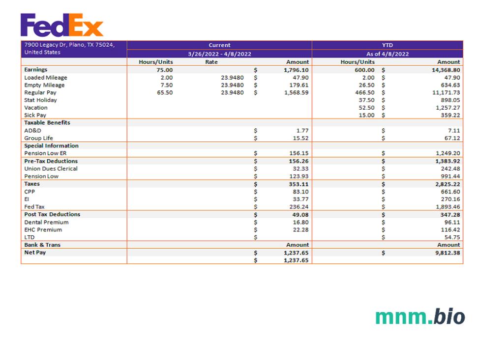 USA Fedex transportation company pay stub
